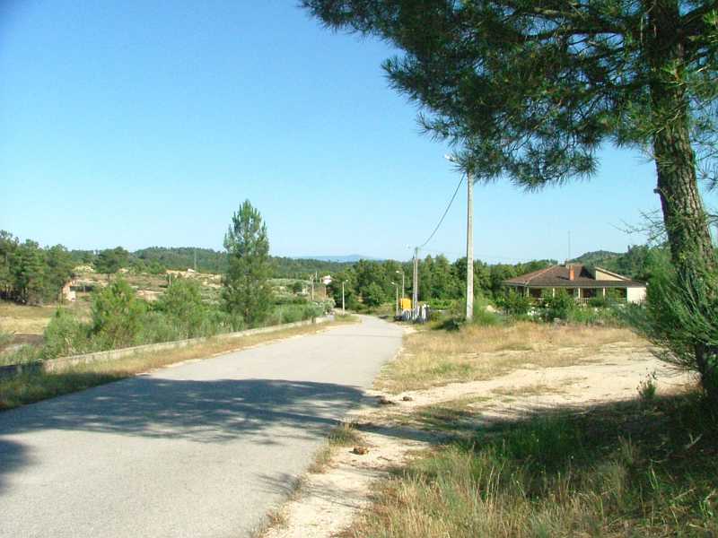 Cinzeira Rua.JPG